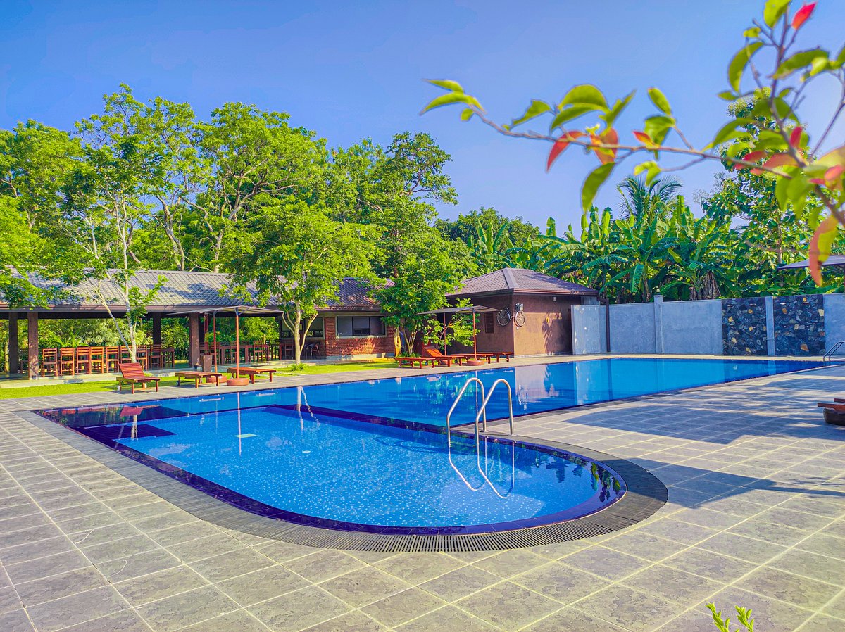 LC-Development Team and Pool Construction